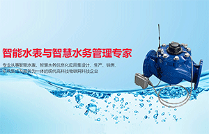 如何為智能水表防水？選擇施奈仕環(huán)保三防漆