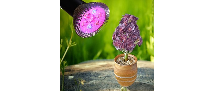 LED植物生長燈吸潮短路、起霉怎么辦？快用線路板電防膠.jpg