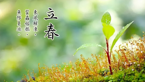 立春：春已至，萬物始，施奈仕奔赴新征程
